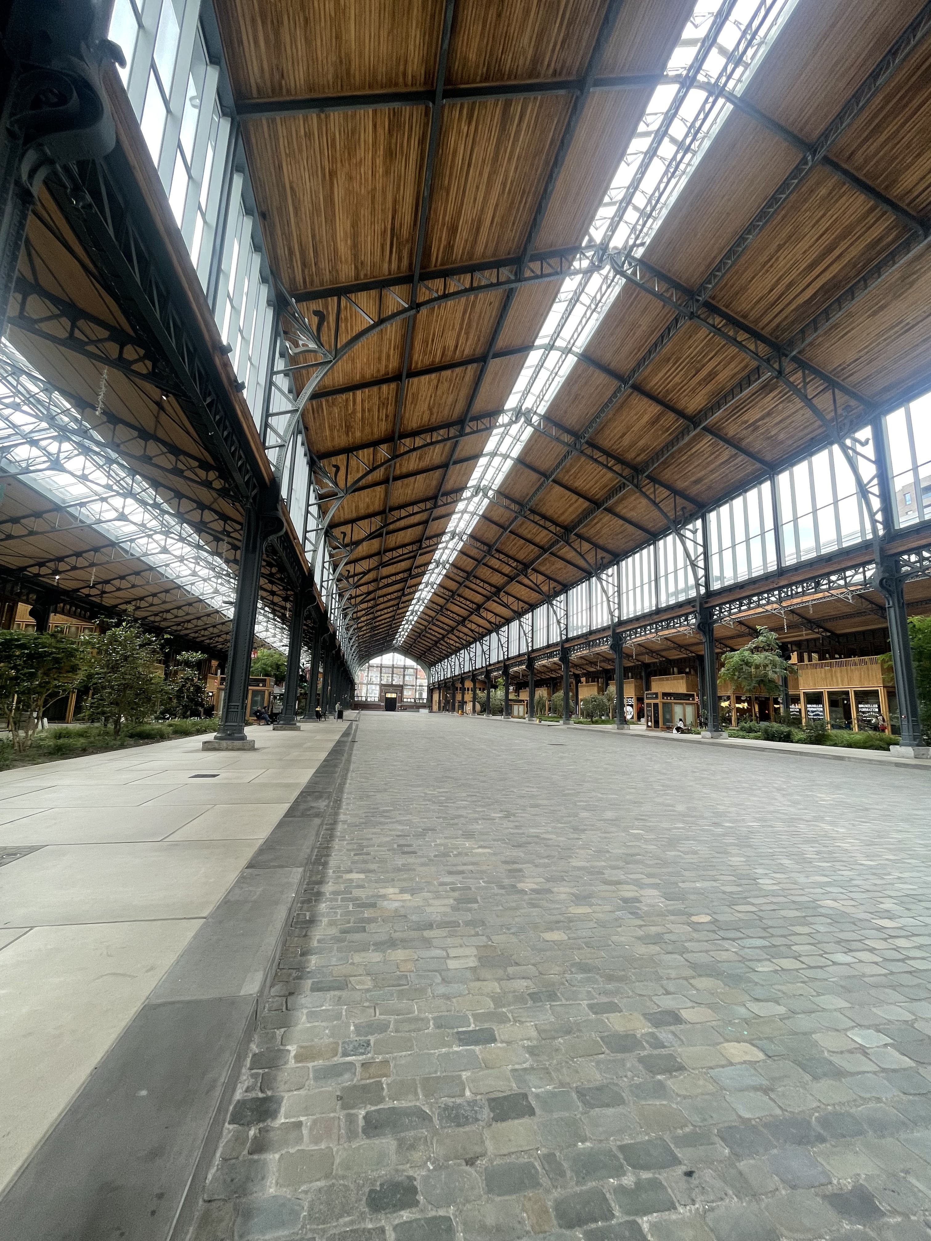 I am eager to contribute to the success and collaborate with companies who have an ambition to elevate human life, culture, art, and to respect the environment and life in general.